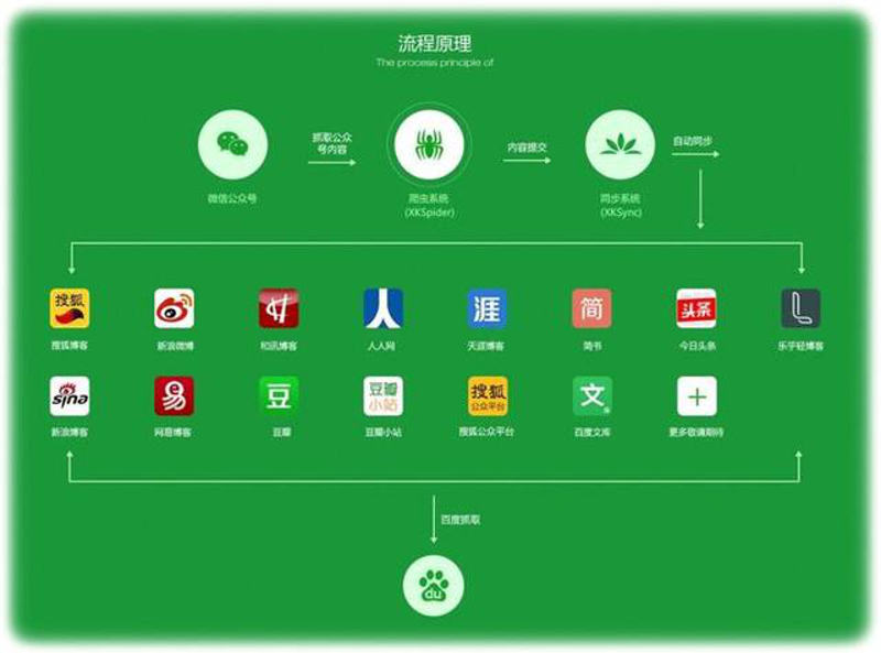 新媒体运营：如何在数字浪潮中脱颖而出